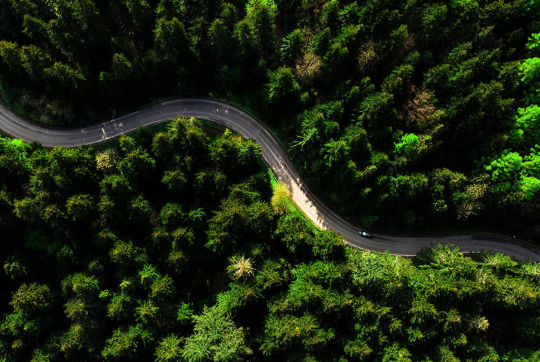 Shanghai Bazhongbao Adhesive Products Co., Ltd.